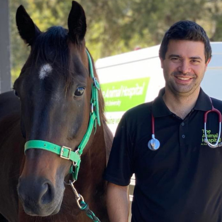 World-leading technology for horse health comes to WA thumbnail