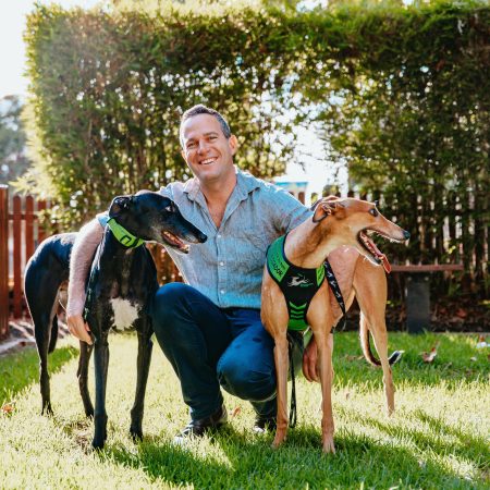 Discover a new friend during Greyhounds as Pets’ Adoption Month thumbnail