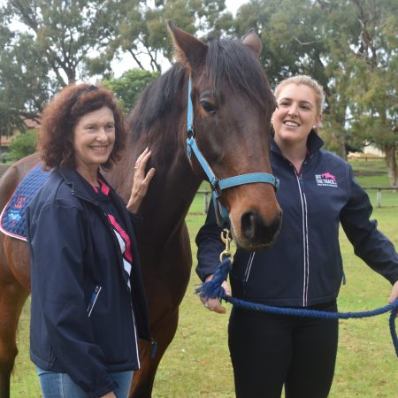 New therapy horse a Major success at Riding for the Disabled thumbnail