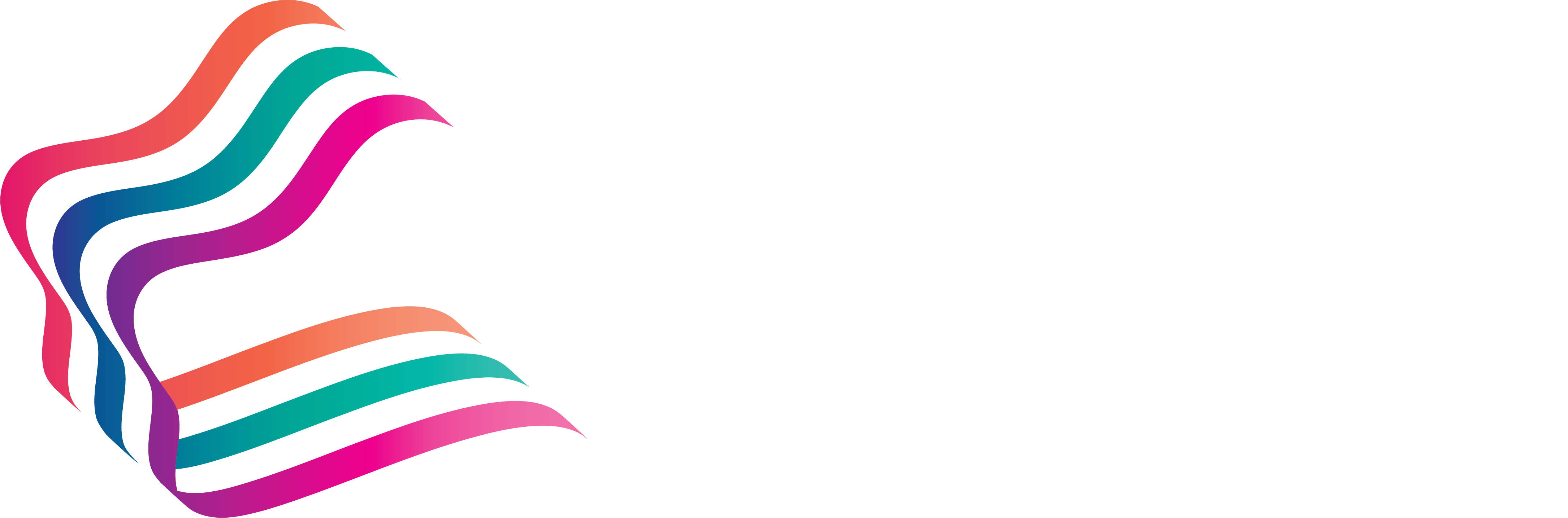 Racing WA Icon