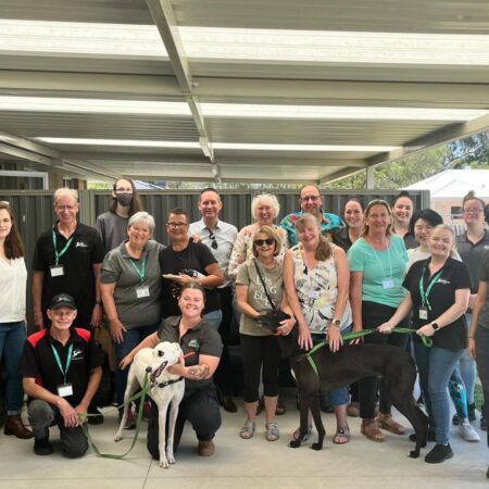 Cheers for volunteers at Greyhounds as Pets thumbnail