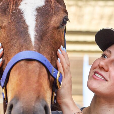 Advanced technology for horse health arrives in WA thumbnail