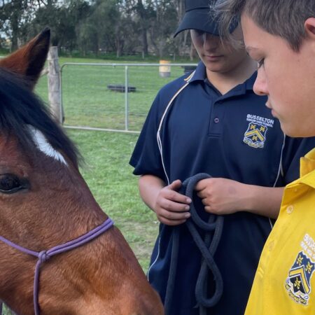 Retired racehorses give students a reason to strive for success thumbnail